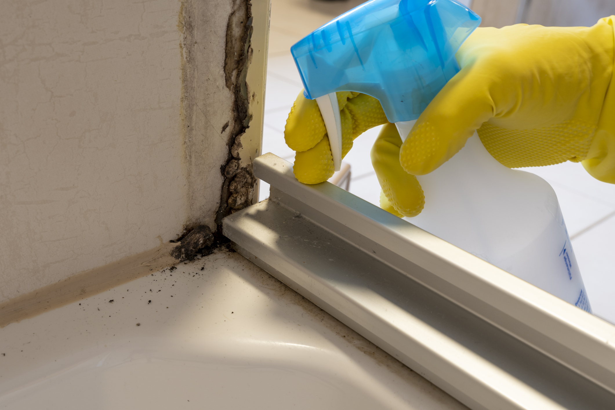 Mold-Free Bathrooms with Hydrogen Peroxide