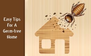 Tips for Germ-Free Surfaces