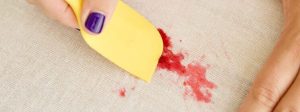 Spot Treatment 101: How Professional Stain Removers Really Work